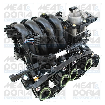 Intake Manifold Module